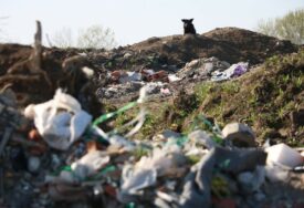 Građani Stoca strahuju za zdravlje zbog nelegalnih deponija