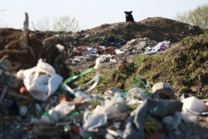 Građani Stoca strahuju za zdravlje zbog nelegalnih deponija