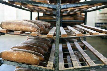 Otkupna cijena pšenice niža, pekarski proizvodi sve skuplji