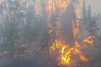 Požar na Čvrsnici: Izgorjelo gotovo 100 hektara površine, 50 vatrogasaca na terenu