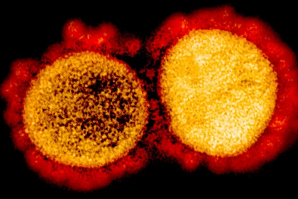 Nova podvrsta koronavirusa označena kao zabrinjavajuća: Koliko je opasan BA.5?