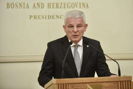 Džaferović: Bundestag se izdignuo iznad vještačke potrebe za izjednačavanjem krivice zbog stanja u BiH