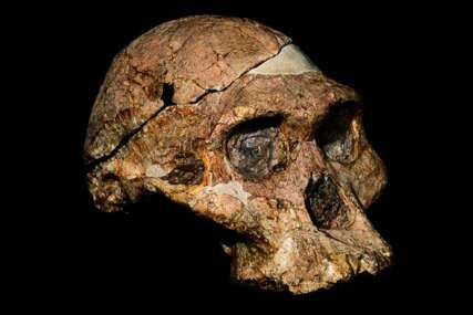 Fosilni ostaci ljudskih predaka milion godina stariji nego što se mislilo