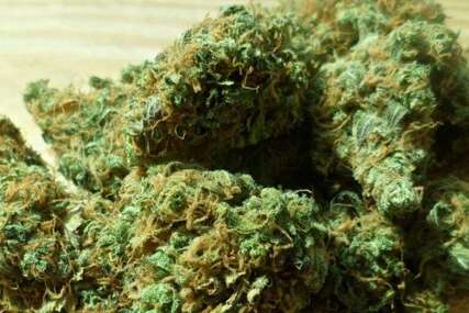 Uhapšen Fočak, u autu pronađeno oko pet kilograma marihuane