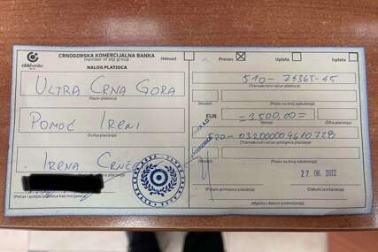 Crnogorci višak novca od kombija za Bosance proslijedili za liječenje djevojke