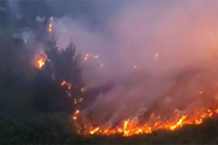 Požar u pograničnom području Crne Gore sa BiH