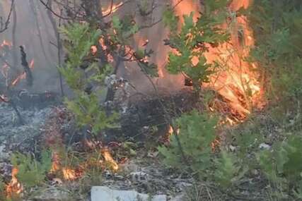 Ponovo se aktivirao požar kod Bileće, vatra na 100 metara od kuća