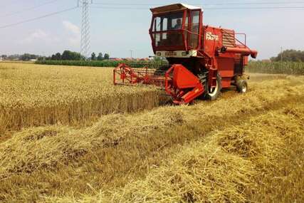 Udruženja poljoprivrednika FBiH uputilo apel: Hitno ponuditi otkupnu cijenu za pšenicu i ječam