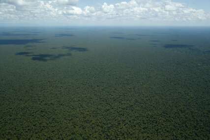 Katastrofalni podaci! Rekordno krčenje šuma u Amazoniji u prvoj polovini 2022.