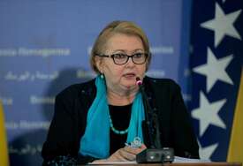 Bisera Turković: Ambasade BiH skoro mjesec dana ne izdaju vize, šteta za državu je ogromna