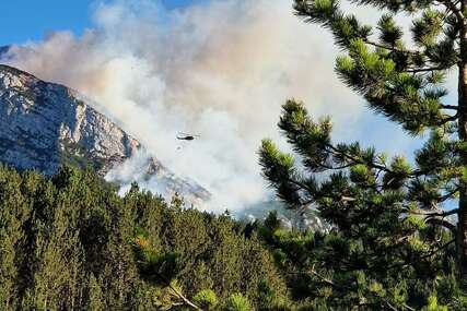 Katastrofalne posljedice: Šteta od šumskog požara na Blidinju procijenjena na više od milion maraka