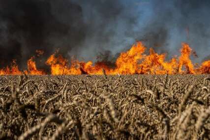 Ukrajinsko ministarstvo objavilo fotografije zapaljenog žita