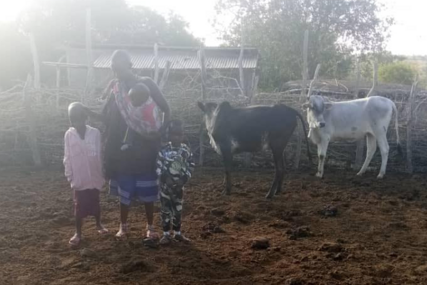 Nastavak priče: Siromašna porodica iz Tanzanije dobila još jednu kravu i 100 kg hrane od dobrih ljudi iz BiH