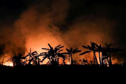 Gore pluća svijeta: U Amazoniji zabilježen dan s najviše šumskih požara u zadnjih 15 godina