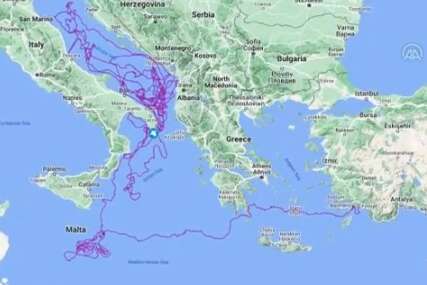 Tri godine satelitski pratili kornjaču Tubu: Prešla 17.500 km, svraćala i do Neuma