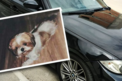 Boško nudi BMW onom ko mu pronađe psa: Dao bih i život, djeca su vezana za njega 