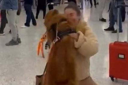 Pas nakon tri mjeseca na aerodromu ugledao vlasnicu: Njegova reakcija otopit će vam srce 