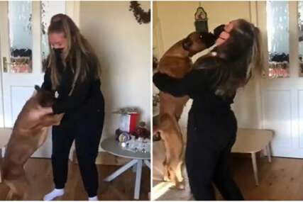 Urnebesan video: Vlasnica vidjela svoja dva psa nakon 18 mjeseci, njihova reakcija je hit