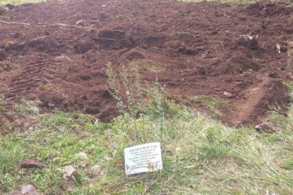 Na lokalitetu Buk Bijela ekshumacija u potrazi za žrtvama rata