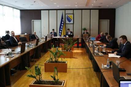 Vijeće ministara BiH privremeno zabranilo izvoz određenih šumskih drvnih sortimenata