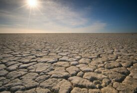 Skoro polovina novinara koji pokrivaju klimatsku krizu u svijetu primilo prijetnje