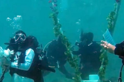 Održano prvo podvodno vjenčanje u Grčkoj  