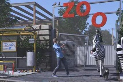 Najavljen je Zoo Simulator, trebat će čistiti izmet od nosoroga