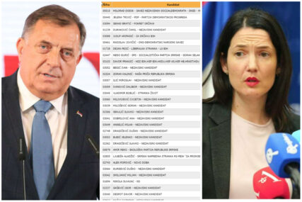 Kakva dominacija: Dodik i Trivić 533.972, 29 ostalih kandidata 48.599