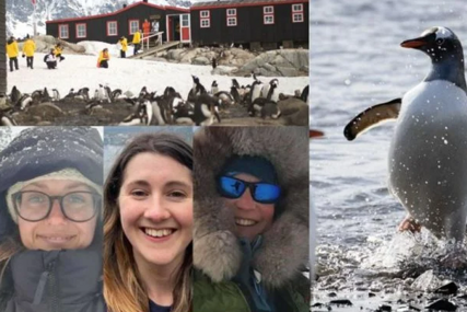 Zanimljiva priča sa Antarktika: Četiri žene odabrane da vode poštu i broje pingvine 
