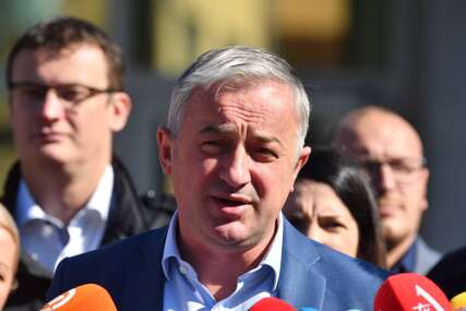 Borenović nakon proglašenja Dodika novim predsjednikom RS: Sumrak demokratije!