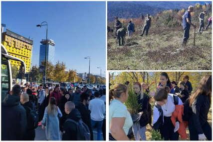 Sarajevski srednjoškolci za dva dana na Igmanu zasadili 3.100 sadnica