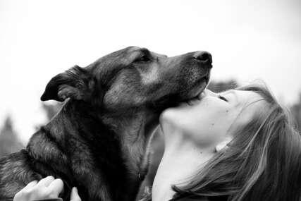 Medicinar pojasnio: Zašto svog psa ne biste smjeli ljubiti u usta?  