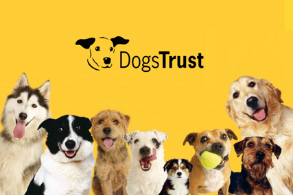 Fondacija Dogs Trust proslavila deceniju djelovanja u Bosni i Hercegovini