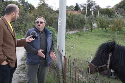 Edhem se vratio iz Švicarske u BiH, pa ga prevarili: Bego iz Puračića prodao mi ofarbanog konja i još se hvalio