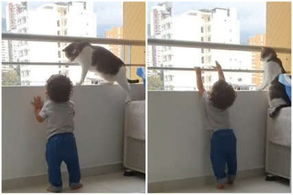 Slađi video niste vidjeli: Kad mačka štiti dijete