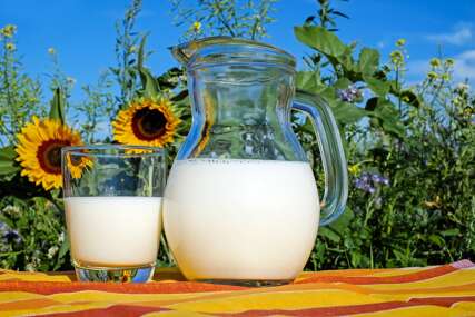BiH zabilježila rekordan uvoz mlijeka i mliječnih proizvoda iz EU