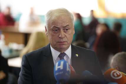 Arnautović najavio: CIK sutra o izvještaju o kontrolnom brojanju za predsjednika RS-a