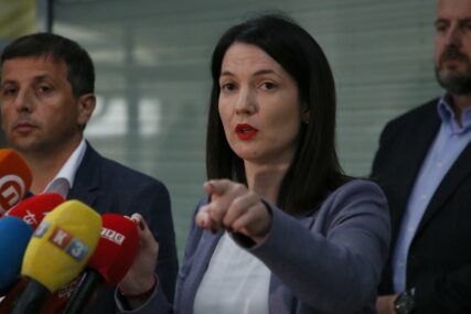 Trivić odgovorila Dodiku nakon što je njenu stranku uporedio s ubodom komarca