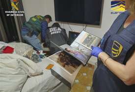 Pomoć Europola u borbi protiv narkokartela: 49 uhapšenih, zaplijenjeno 30 tona droge