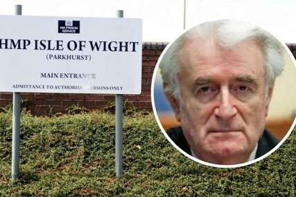 Ratni zločinac Radovan Karadžić se žali na uslove u britanskom zatvoru