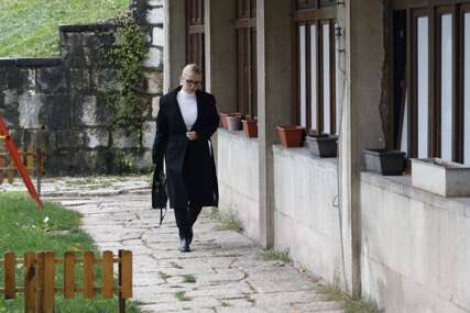 Elzina Pirić podnijela ostavku na mjesto predsjednice OO PDA