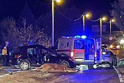 Tragedija kod Mostara: Vozačica poginula nakon sudara s konjem