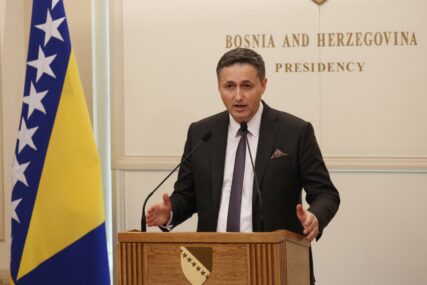 Bećirević reagovao zbog saopćenja Ambasade Ruske Federacije u BiH