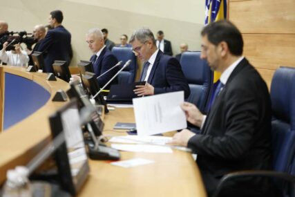 Nakon predsjedavajuće, imenovani i članovi sedam stalnih radnih tijela Parlamenta: Borenović se žalio na diskriminaciju
