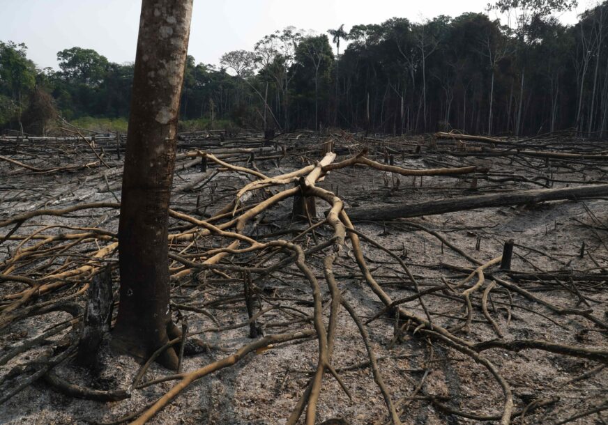 FOTO: EPA-EFE/PAOLO AGUILAR