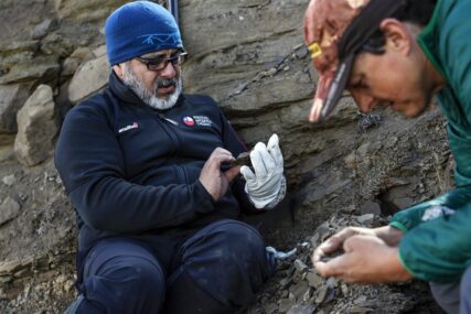 VELIKO OTKRIĆE U ČILEU Naučnici u Patagoniji iskopali ostatke megaraptora