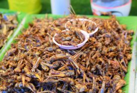 Zašto EU uvodi insekte u prehranu? Cvrčci, skakavci, crvi na meniju