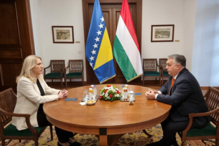 Cvijanović s Orbanom: Dobri bilateralni odnosi BiH i Mađarske temelj za jačanje saradnje