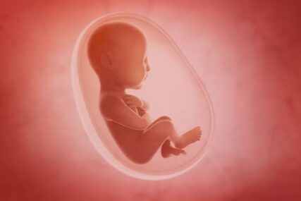 Nova studija opovrgava postojanje mikroorganizama kod nerođenih beba