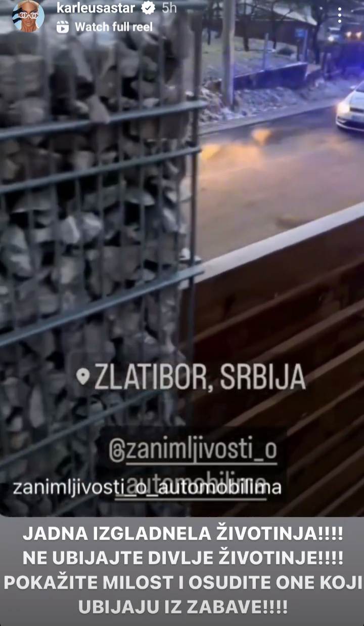 FOTO: PRINTSCREEN / INSTAGRAM /JELENA KARLEUŠA